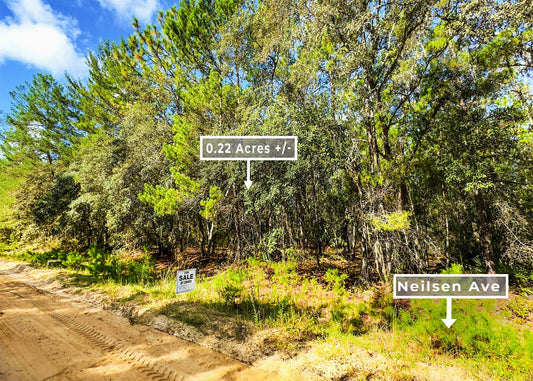 Weekend Escape or First Investment – 0.22 Acres, Neilsen Ave FL