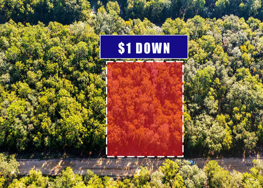 Affordable Florida Land — Own 0.22 Acres with 12-Month Exchange Promise