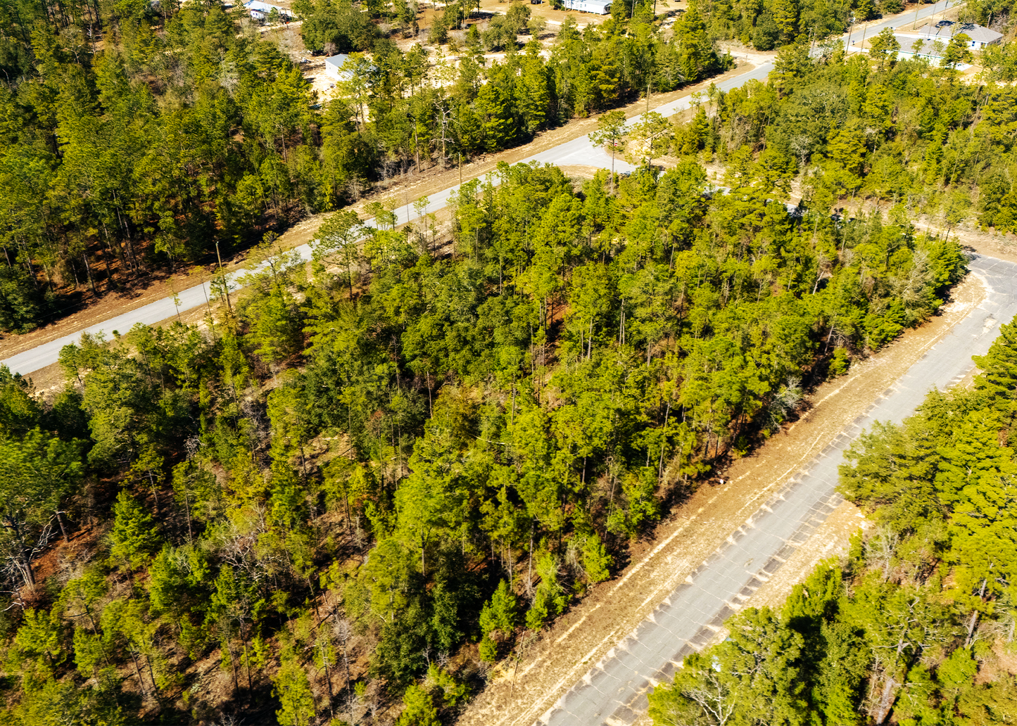 0.23 Acres on Rockford Circle — Paved Road Access in Sunny Hills,Chipley Washington County