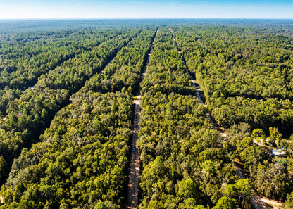 Affordable Florida Land — Own 0.22 Acres with 12-Month Exchange Promise. Putnam County, FL