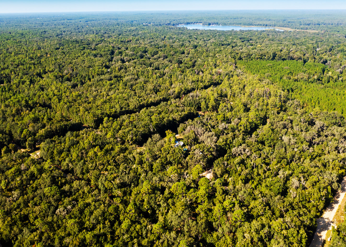 Affordable Florida Land — Own 0.22 Acres with 12-Month Exchange Promise. Putnam County, FL