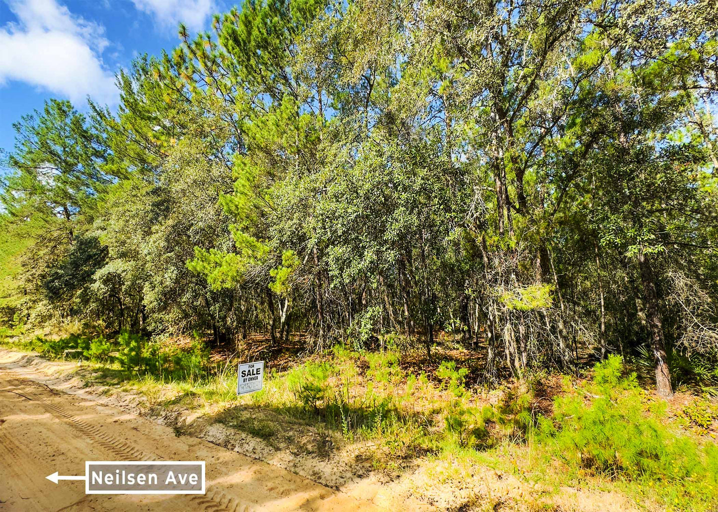 Weekend Escape or First Investment – 0.22 Acres, Neilsen Ave FL