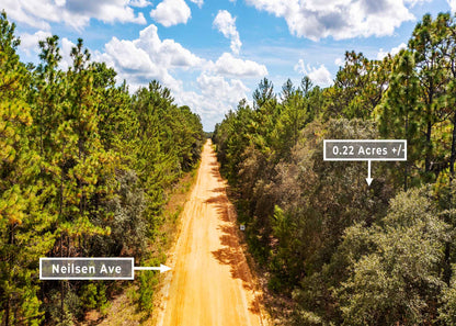 Weekend Escape or First Investment – 0.22 Acres, Neilsen Ave FL