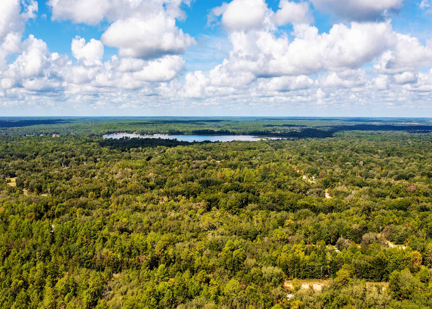 Weekend Escape or First Investment – 0.22 Acres, Neilsen Ave FL