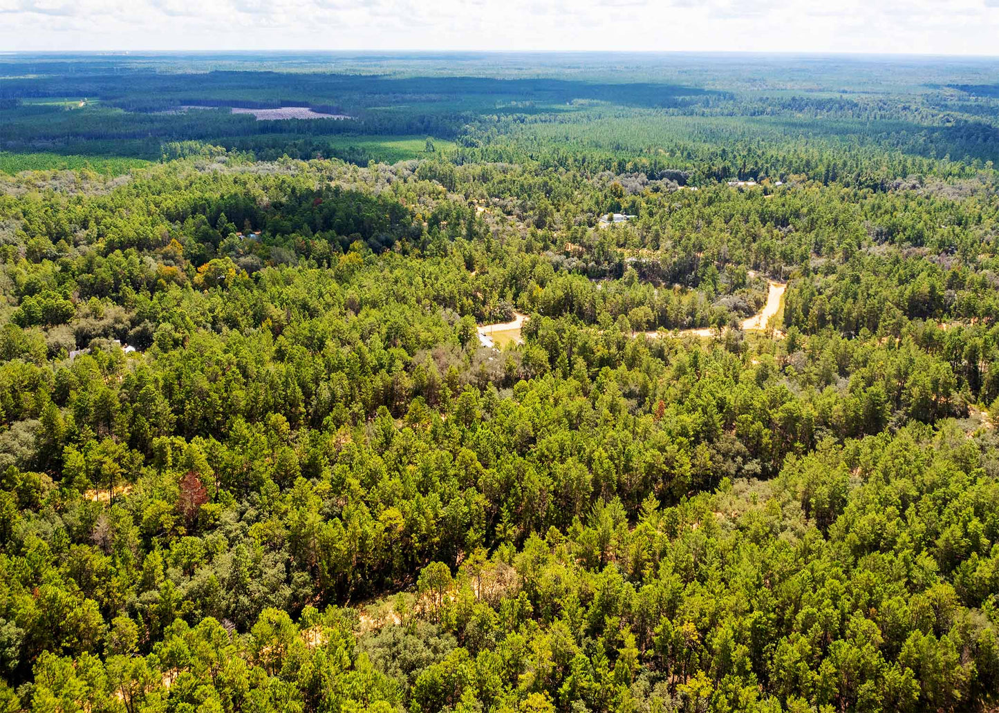 Weekend Escape or First Investment – 0.22 Acres, Neilsen Ave FL