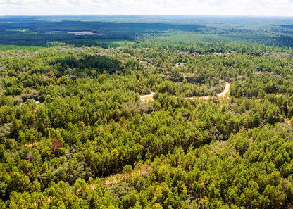 Weekend Escape or First Investment – 0.22 Acres, Neilsen Ave FL