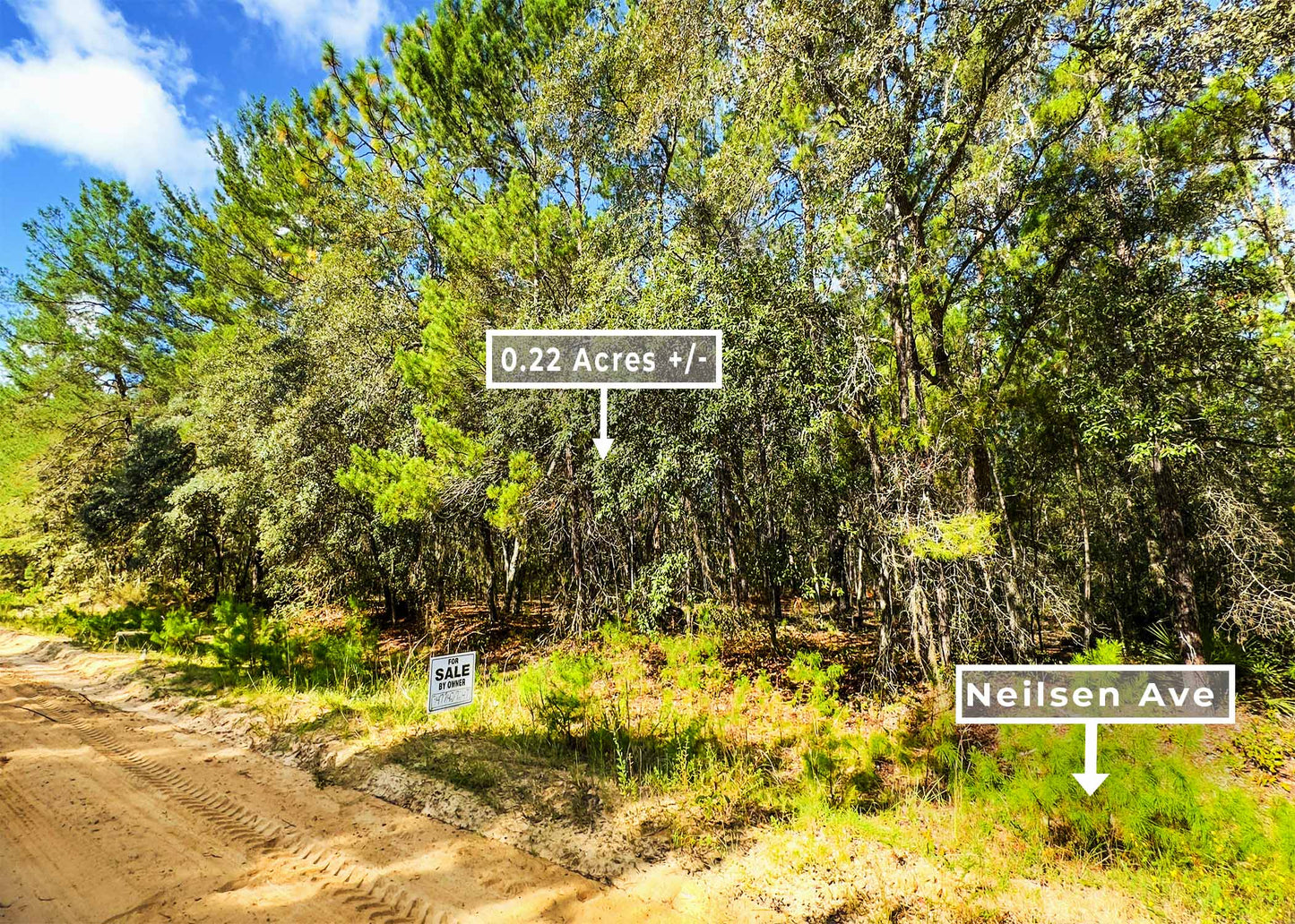 Weekend Escape or First Investment – 0.22 Acres, Neilsen Ave FL