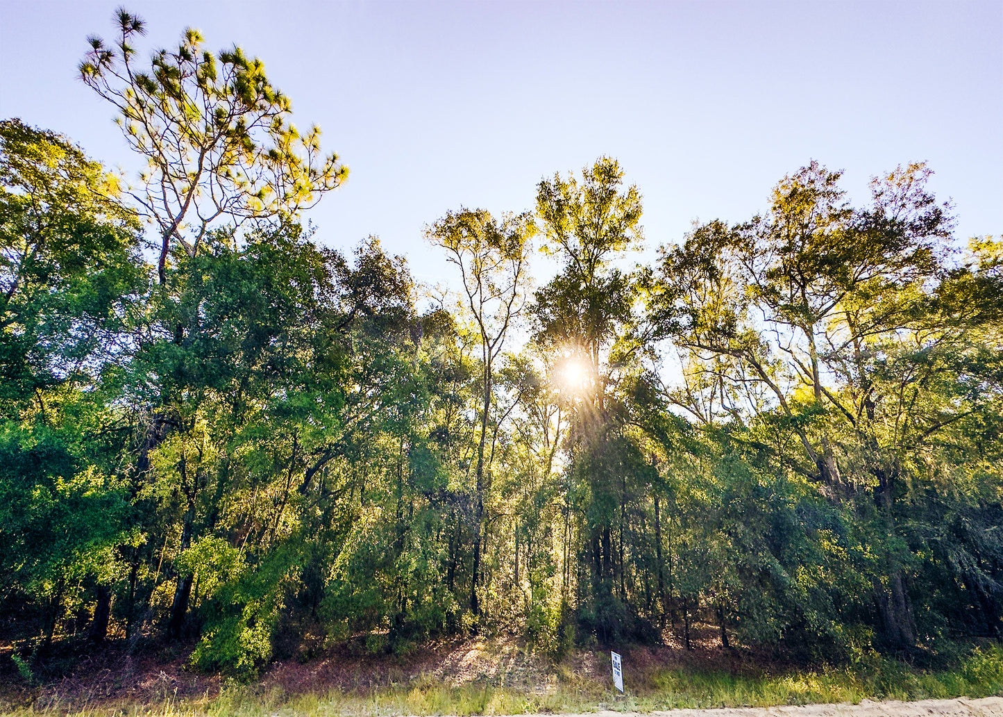 Affordable Florida Land — Own 0.22 Acres with 12-Month Exchange Promise. Putnam County, FL
