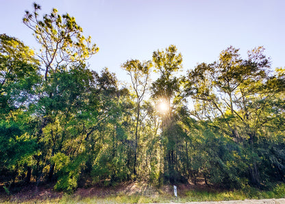 Affordable Florida Land — Own 0.22 Acres with 12-Month Exchange Promise. Putnam County, FL