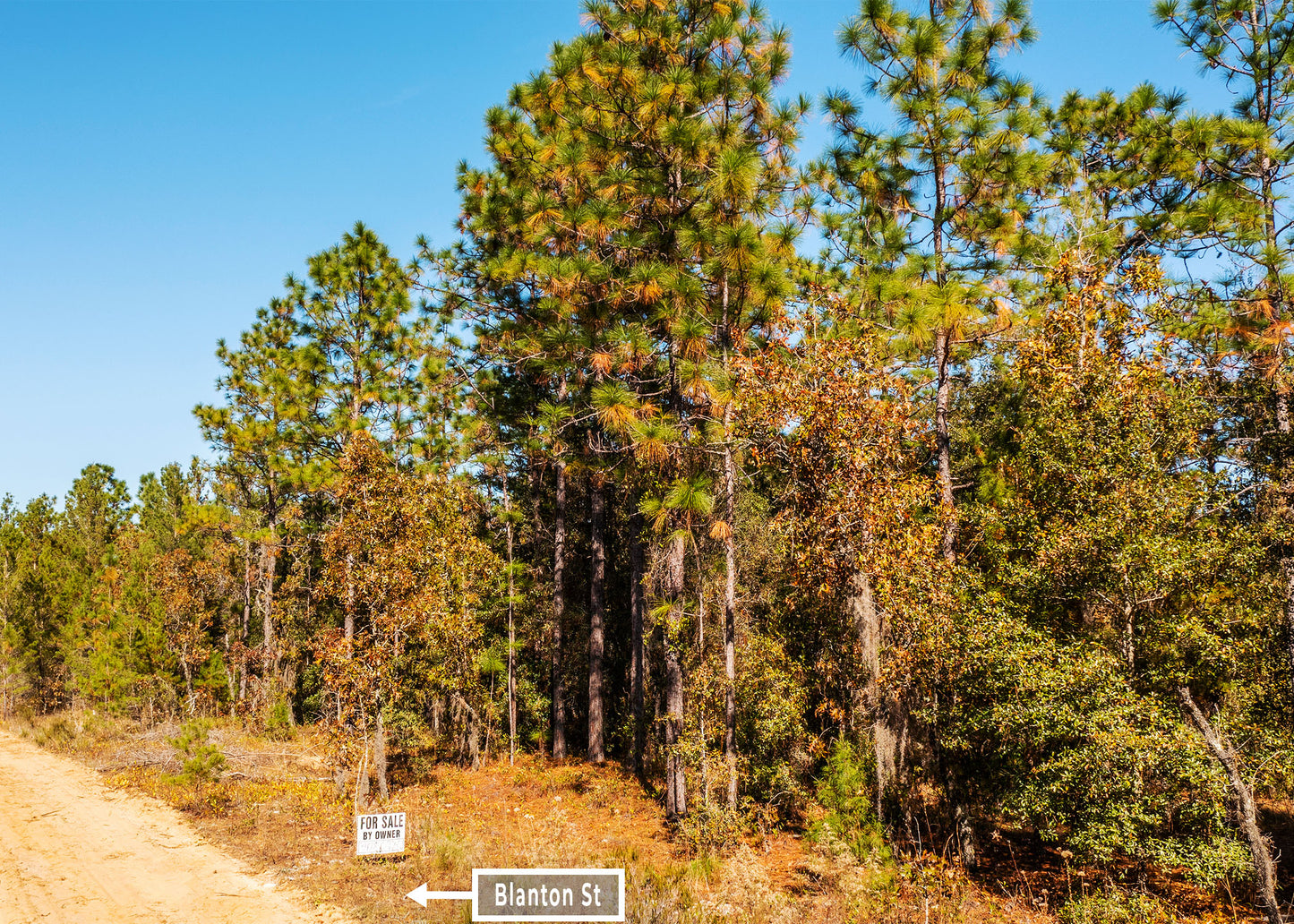 The Blanton Retreat | 0.22 Acre Wooded Haven