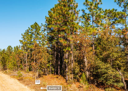 The Blanton Retreat | 0.22 Acre Wooded Haven