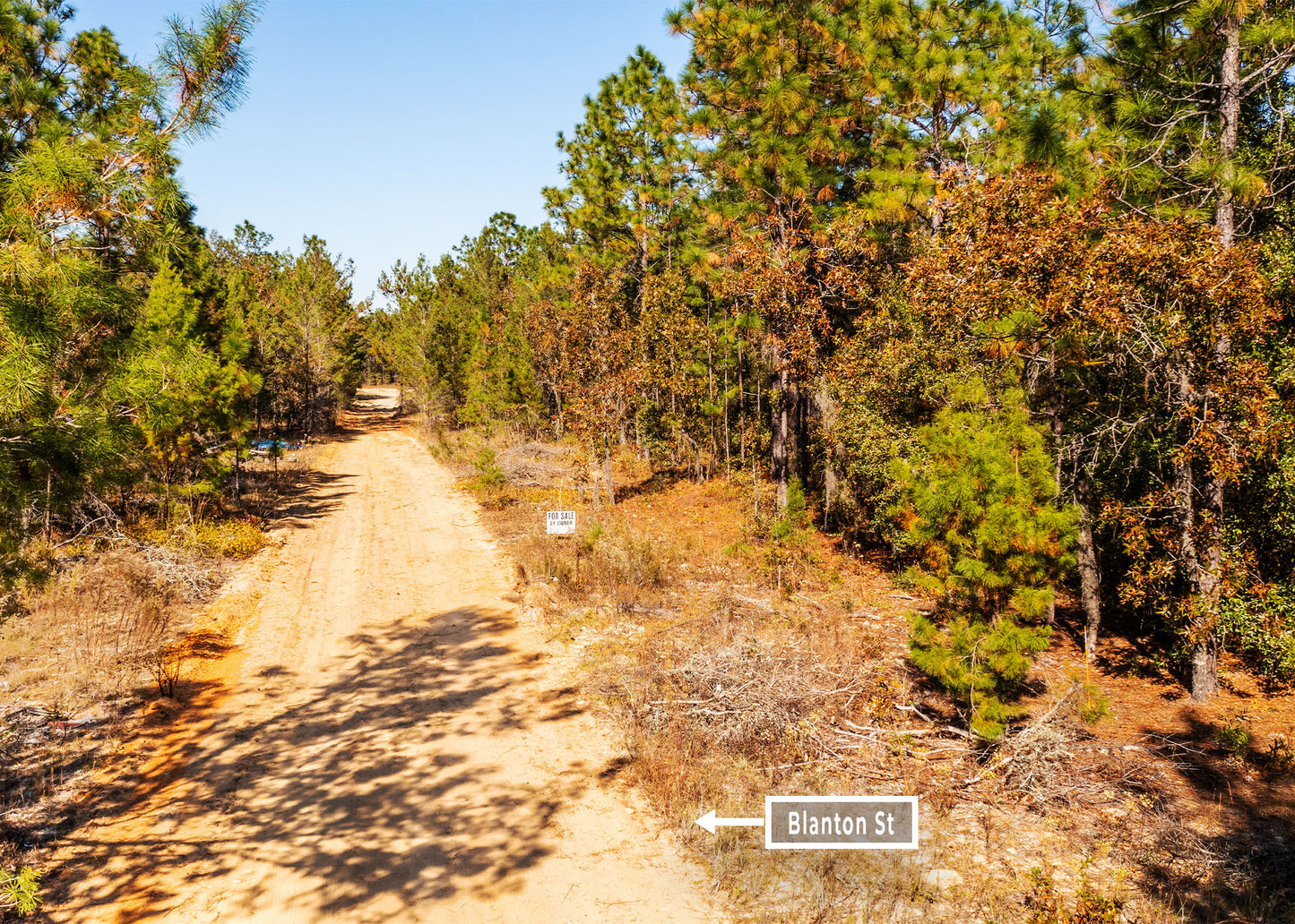 The Blanton Retreat | 0.22 Acre Wooded Haven