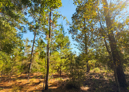 The Blanton Retreat | 0.22 Acre Wooded Haven