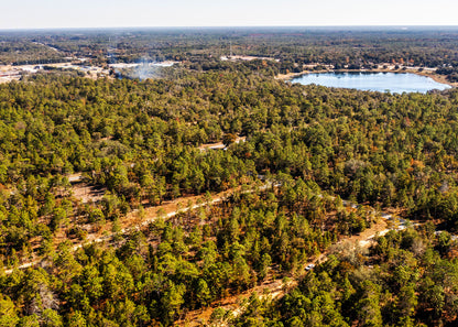 The Blanton Retreat | 0.22 Acre Wooded Haven