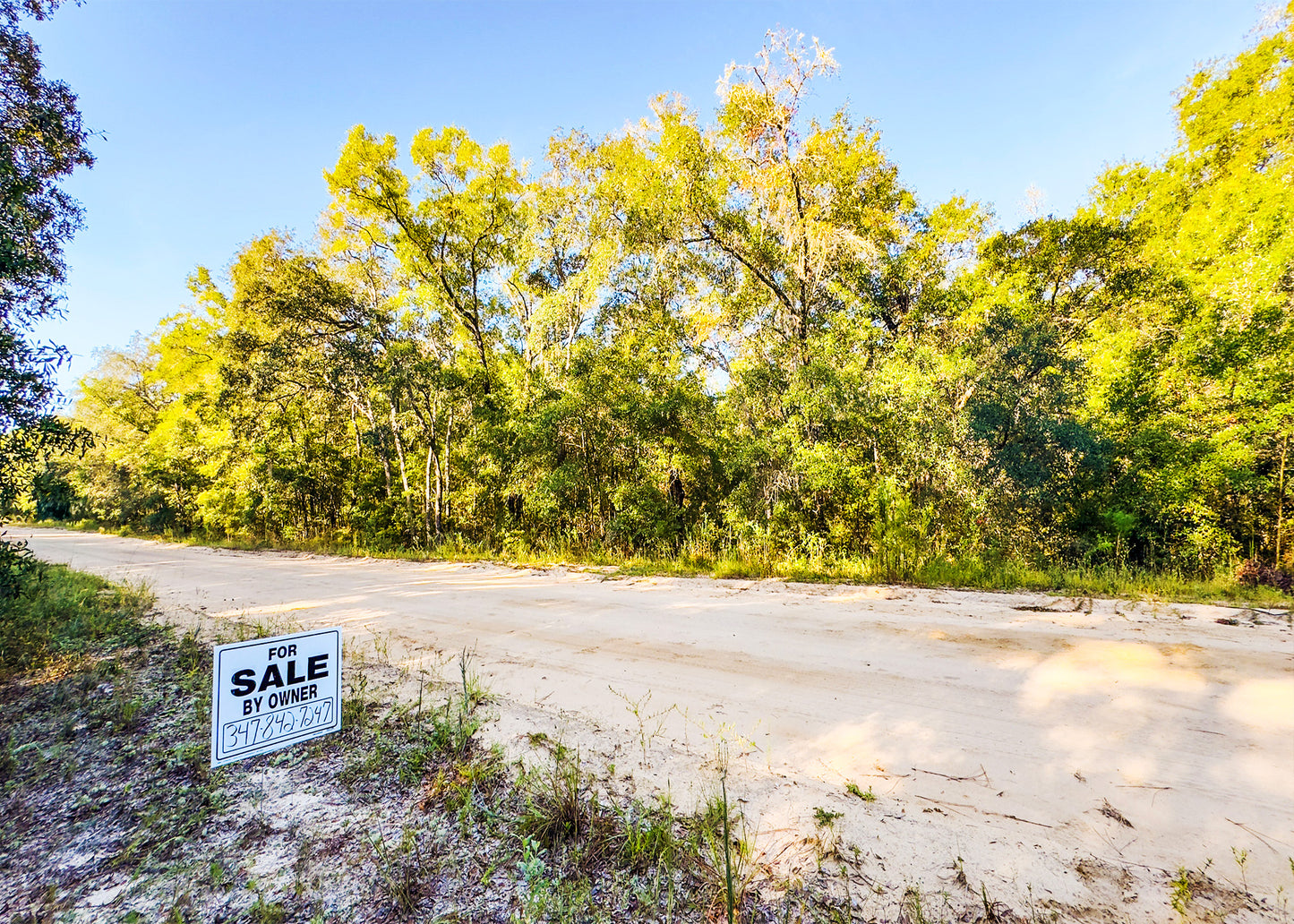 Affordable Florida Land — Own 0.22 Acres with 12-Month Exchange Promise. Putnam County, FL