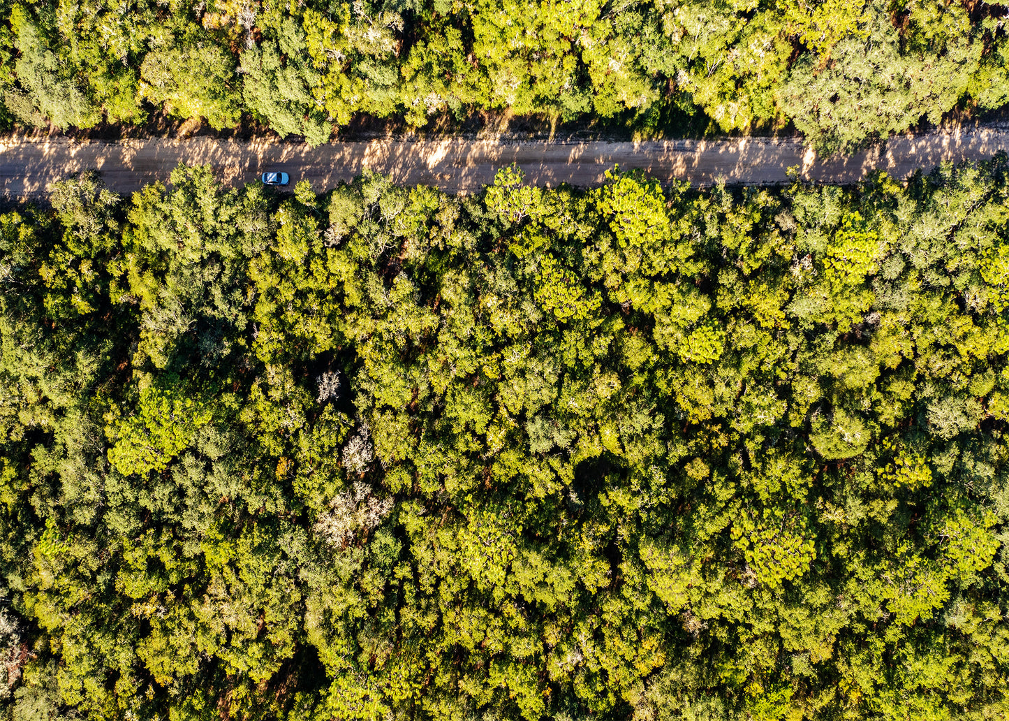 Affordable Florida Land — Own 0.22 Acres with 12-Month Exchange Promise. Putnam County, FL