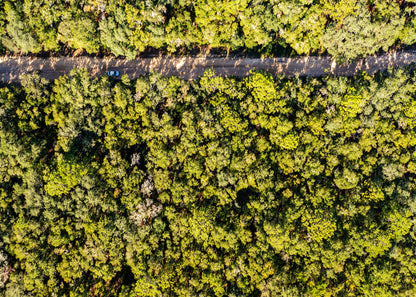 Affordable Florida Land — Own 0.22 Acres with 12-Month Exchange Promise. Putnam County, FL