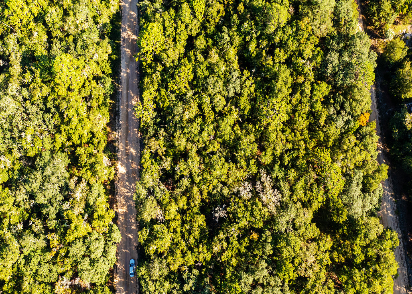 Affordable Florida Land — Own 0.22 Acres with 12-Month Exchange Promise. Putnam County, FL