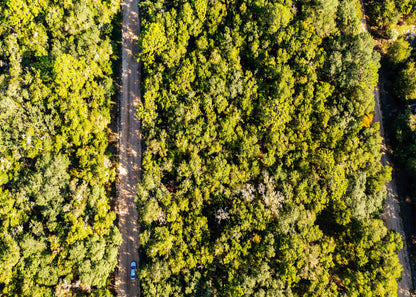 Affordable Florida Land — Own 0.22 Acres with 12-Month Exchange Promise. Putnam County, FL