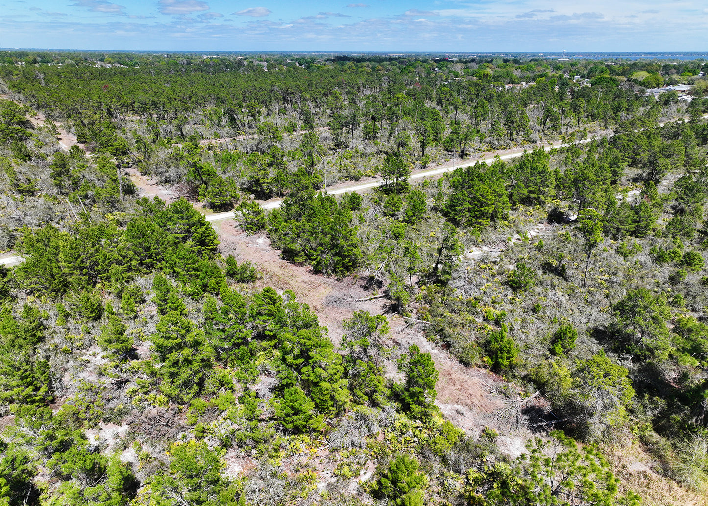 The Darter Ave Corner | 0.28 Acre Development Site in Highlands County,FL.