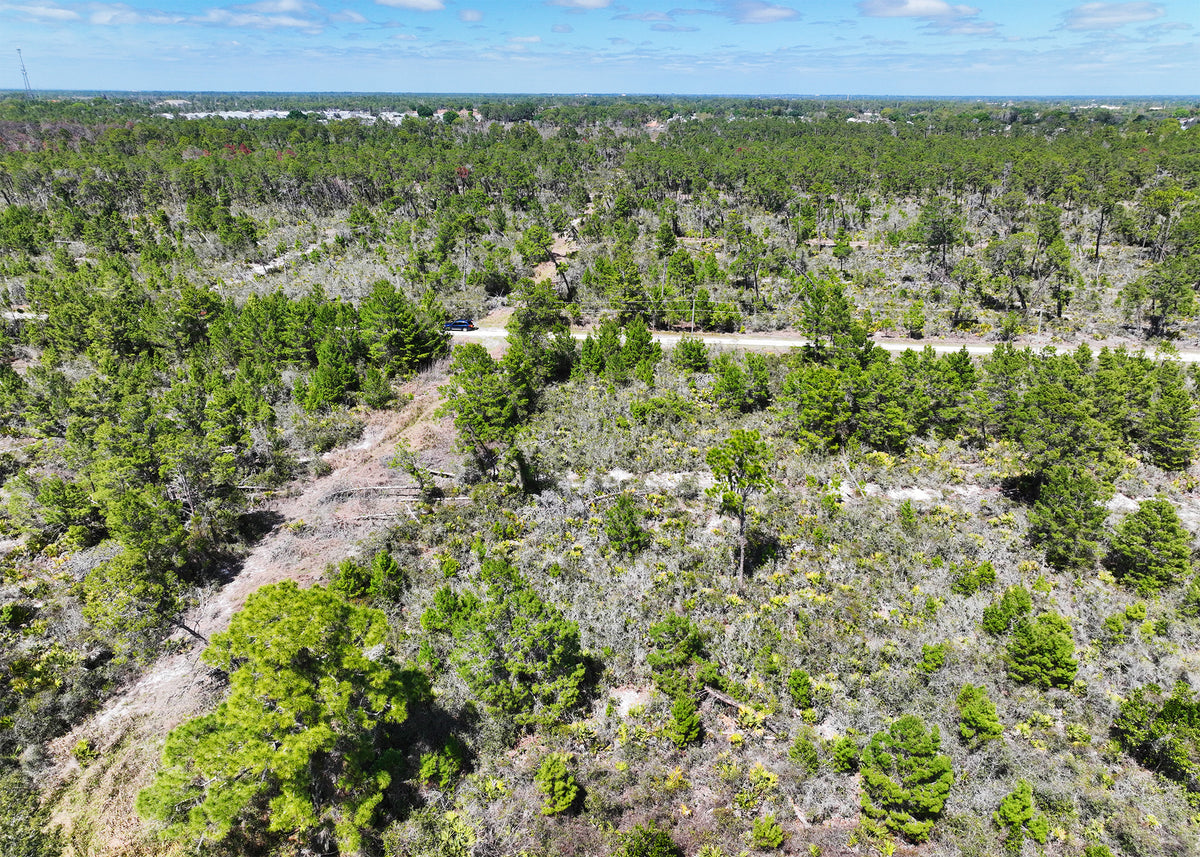 The Darter Ave Corner | 0.28 Acre Development Site in Highlands County,FL.