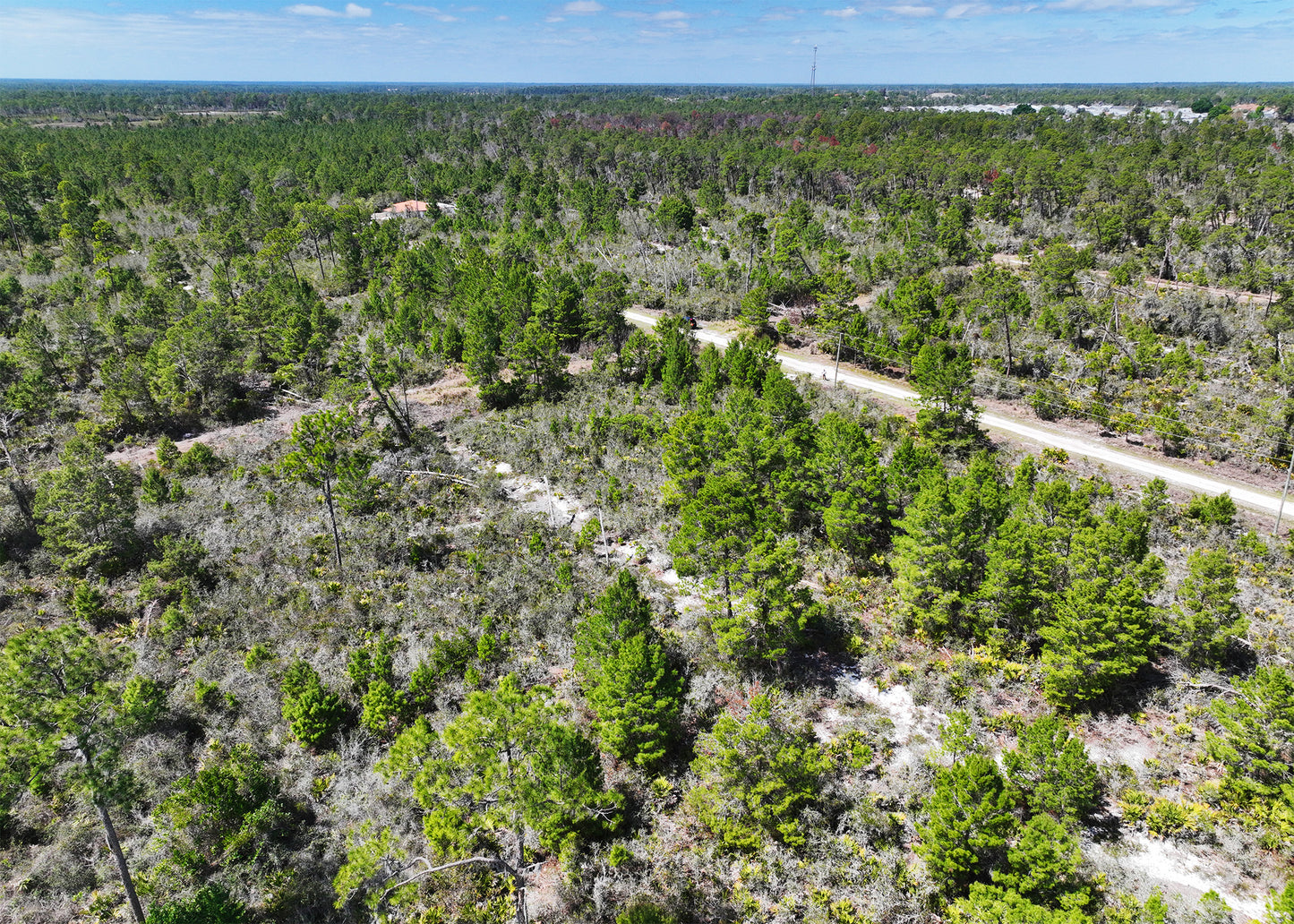 The Darter Ave Corner | 0.28 Acre Development Site in Highlands County,FL.