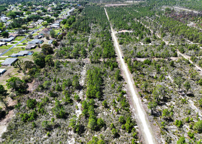 The Darter Ave Corner | 0.28 Acre Development Site in Highlands County,FL.