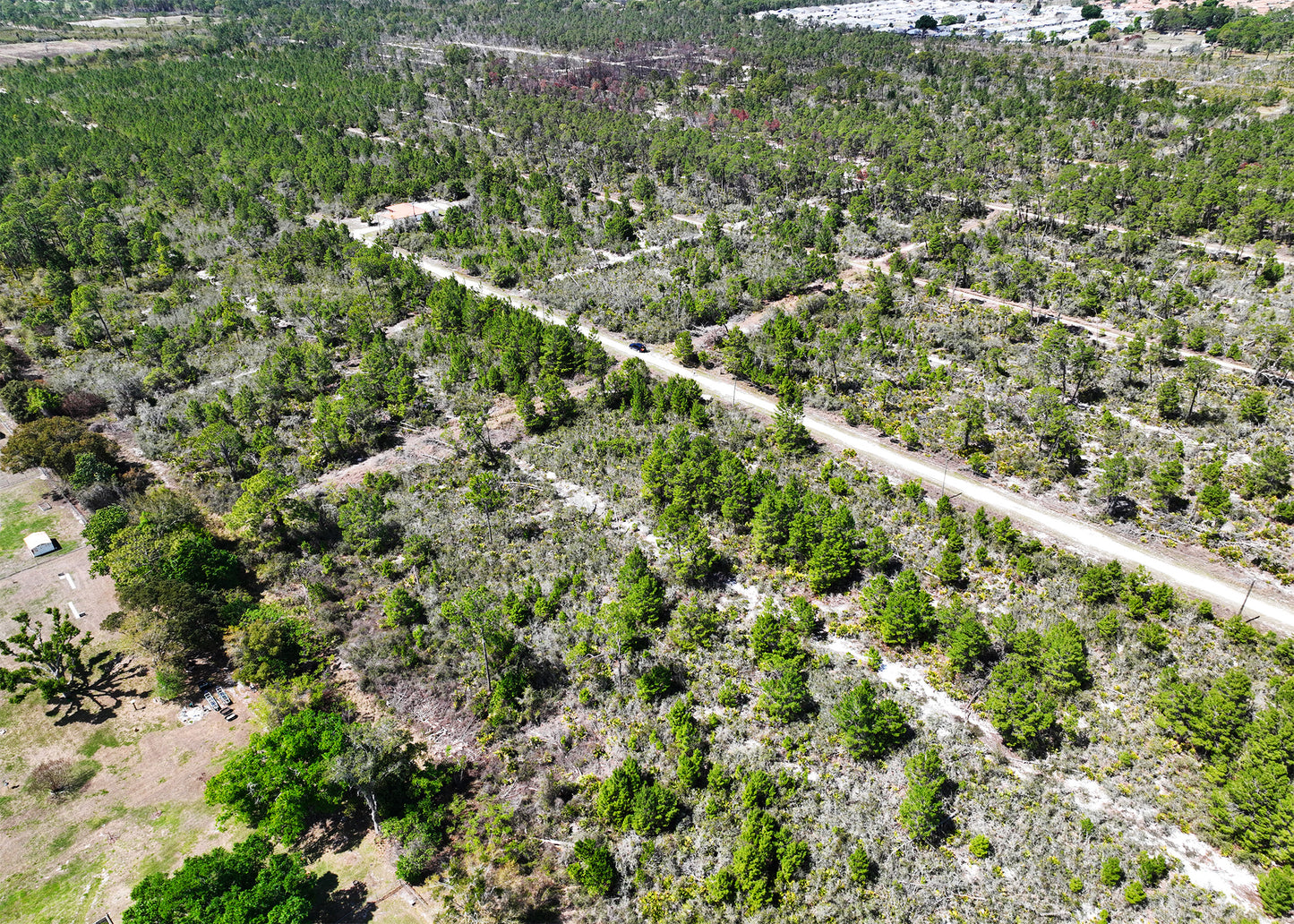 The Darter Ave Corner | 0.28 Acre Development Site in Highlands County,FL.