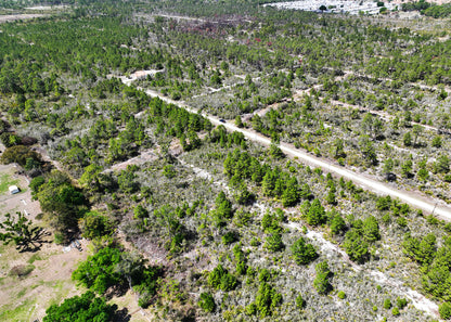 The Darter Ave Corner | 0.28 Acre Development Site in Highlands County,FL.