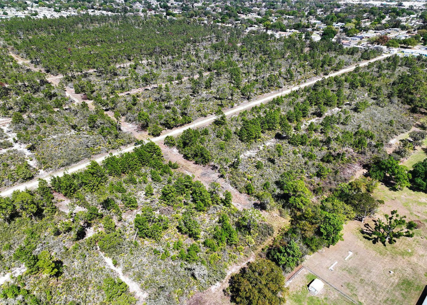 The Darter Ave Corner | 0.28 Acre Development Site in Highlands County,FL.