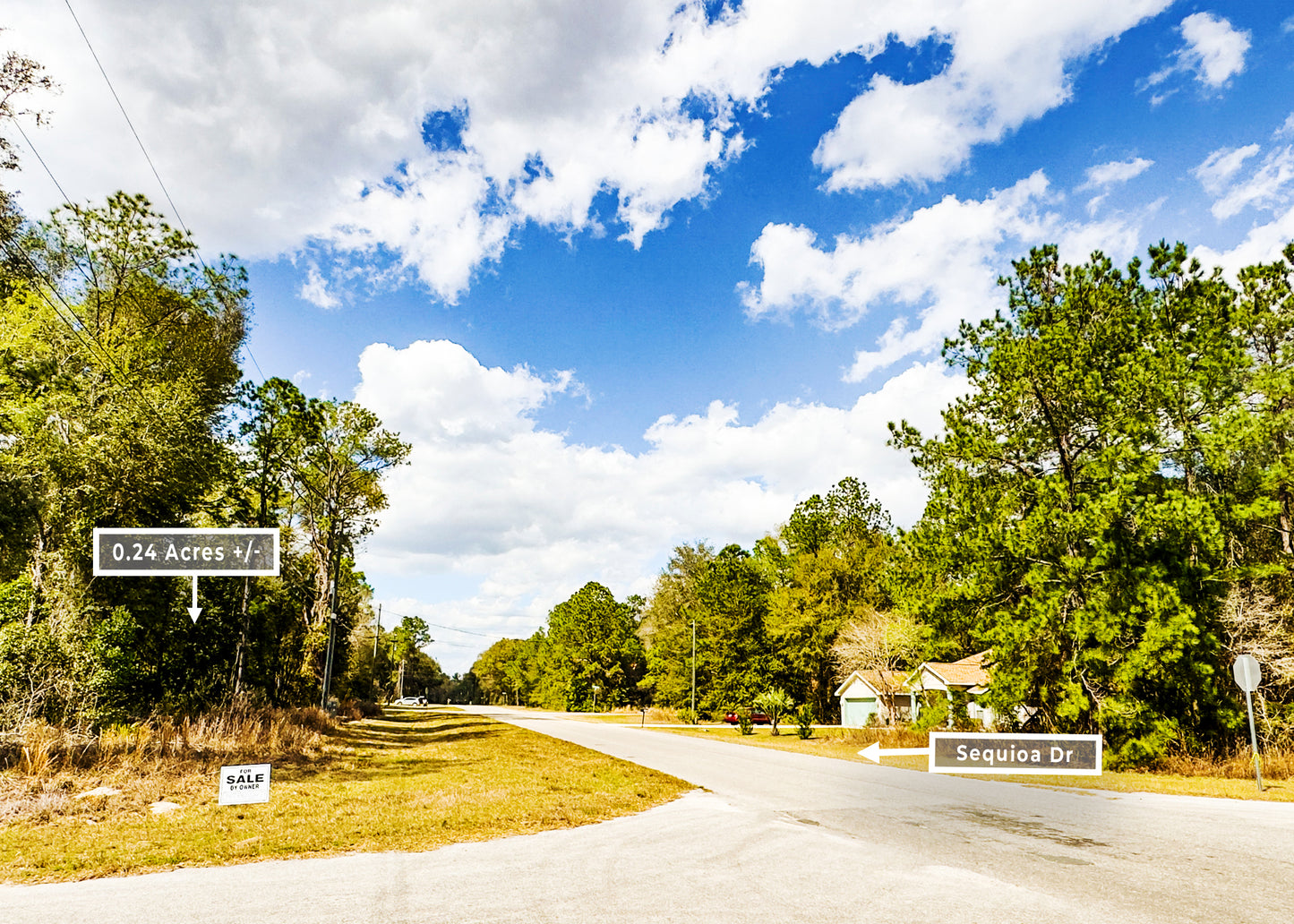The Sequoia Loop Corner | 0.24 Acre Lake District Site in Marion County FL.