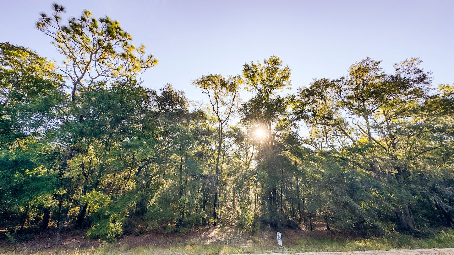 Affordable Florida Land — Own 0.22 Acres with 12-Month Exchange Promise