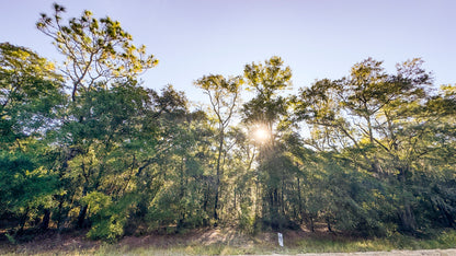 Affordable Florida Land — Own 0.22 Acres with 12-Month Exchange Promise. Putnam County, FL