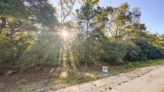 Affordable Florida Land — Own 0.22 Acres with 12-Month Exchange Promise