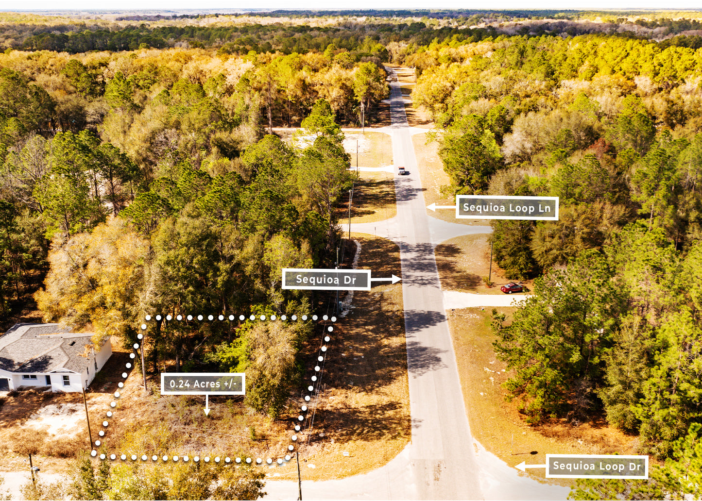 The Sequoia Loop Corner | 0.24 Acre Lake District Site in Marion County FL.