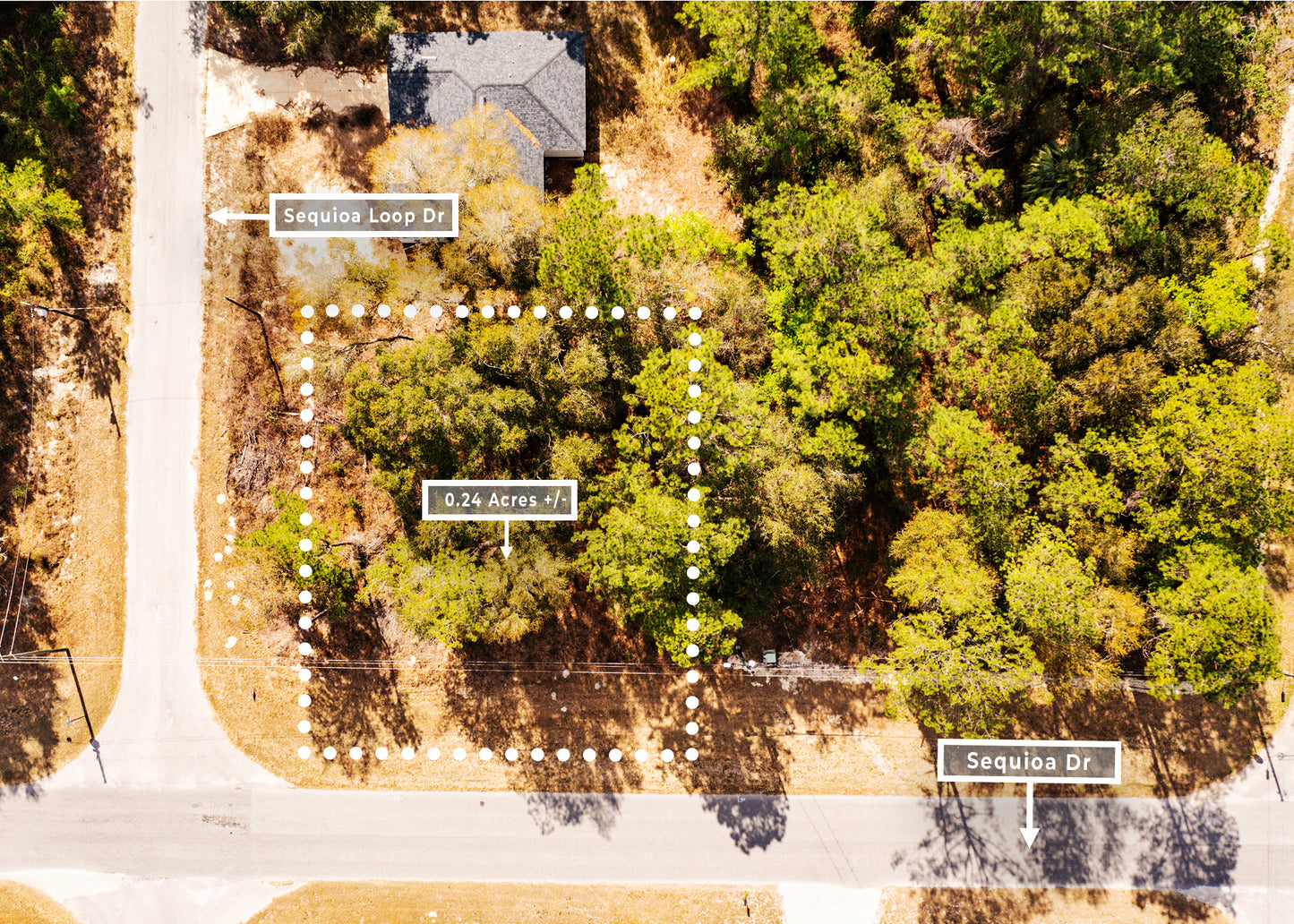The Sequoia Loop Corner | 0.24 Acre Lake District Site in Marion County FL.