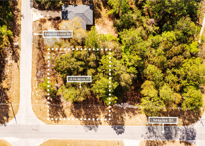 The Sequoia Loop Corner | 0.24 Acre Lake District Site in Marion County FL.