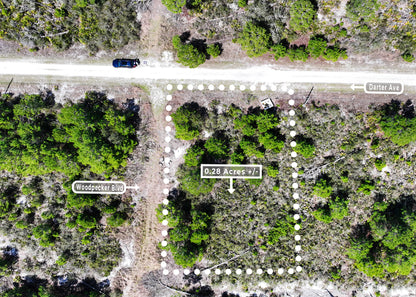 The Darter Ave Corner | 0.28 Acre Development Site in Highlands County,FL.