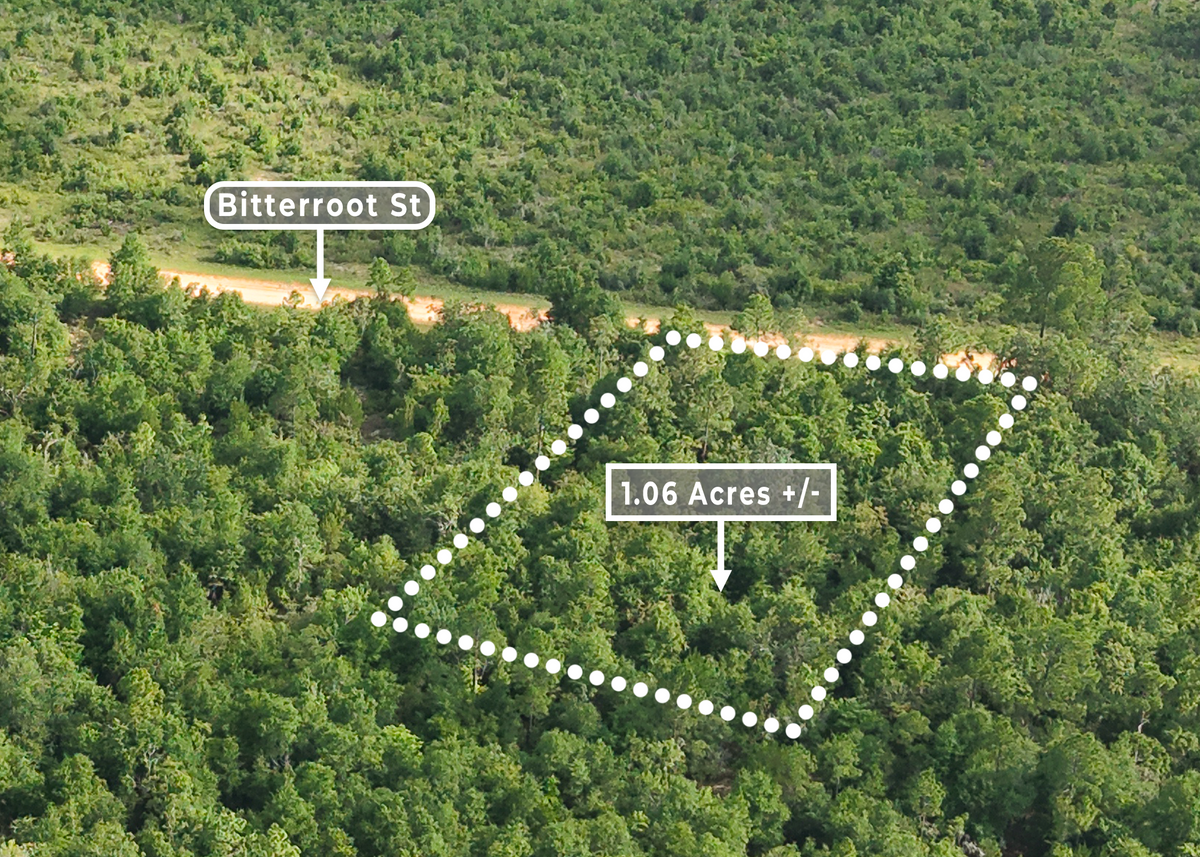 1.06 Acres on Bitterroot St in Compass Lake Hills | Jackson County, FL Land for Sale