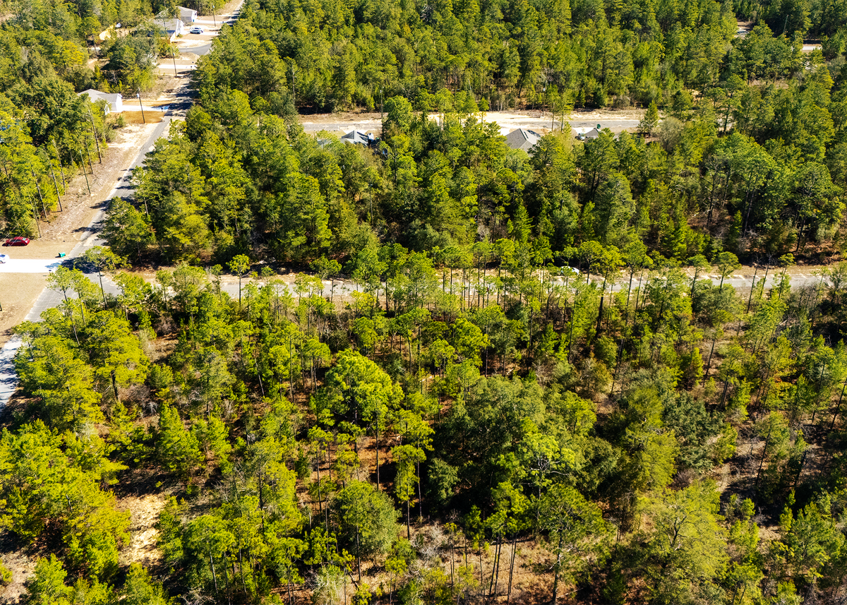 0.23 Acres on Rockford Circle - Paved Road Access in Sunny Hills,Chipley Washington County
