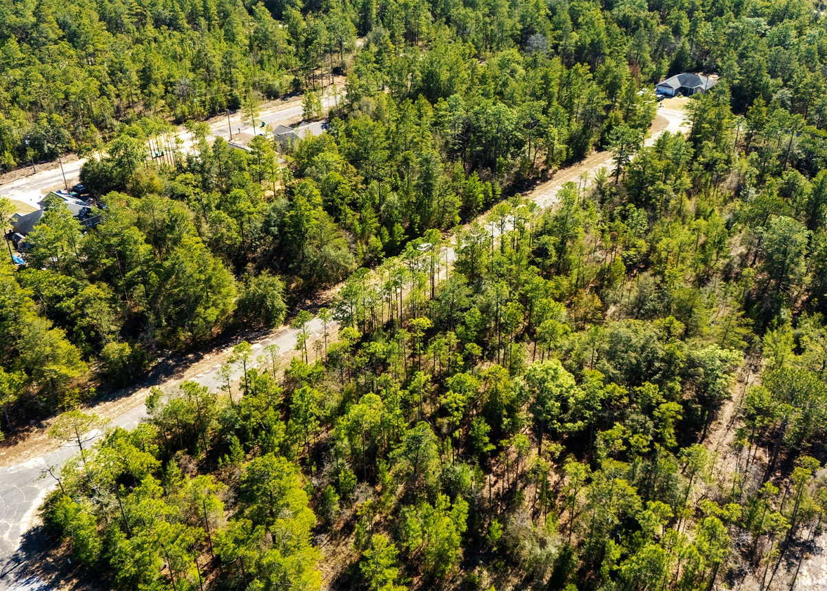 0.23 Acres on Rockford Circle - Paved Road Access in Sunny Hills,Chipley Washington County