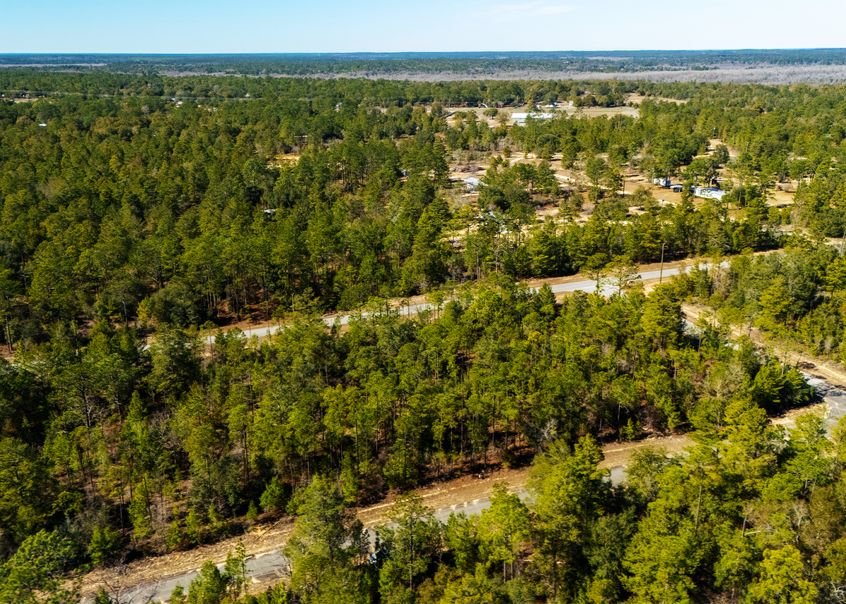 0.23 Acres on Rockford Circle - Paved Road Access in Sunny Hills,Chipley Washington County