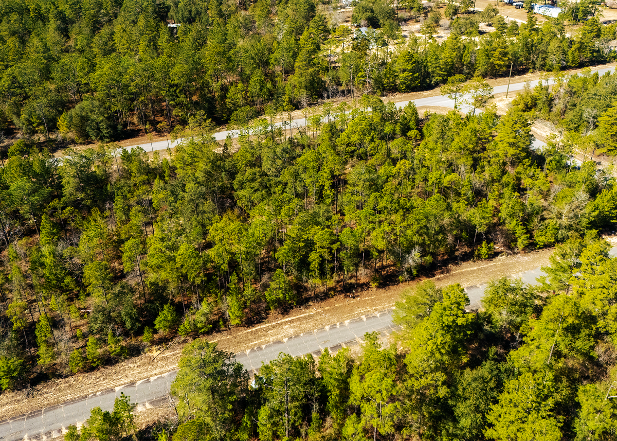 0.23 Acres on Rockford Circle - Paved Road Access in Sunny Hills,Chipley Washington County