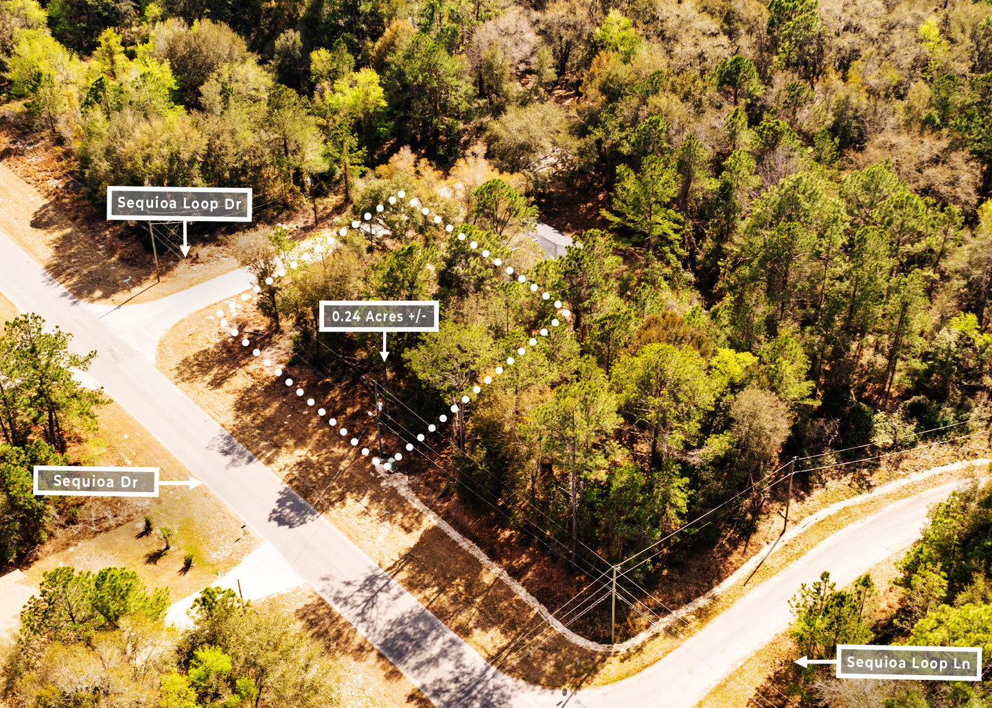 The Sequoia Loop Corner | 0.24 Acre Lake District Site in Marion County FL.