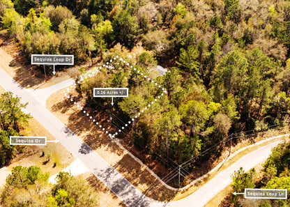 The Sequoia Loop Corner | 0.24 Acre Lake District Site in Marion County FL.