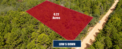 Weekend Escape or First Investment – 0.22 Acres, Neilsen Ave FL