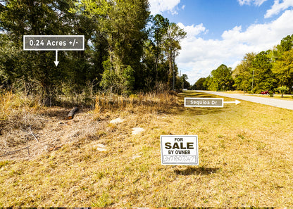 The Sequoia Loop Corner | 0.24 Acre Lake District Site in Marion County FL.