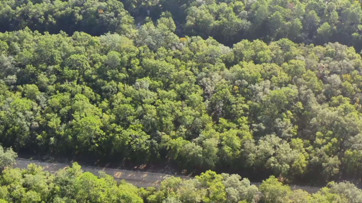 Affordable Florida Land | Own 0.22 Acres with 12-Month Exchange Promise. Putnam County, FL