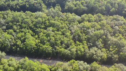 Affordable Florida Land — Own 0.22 Acres with 12-Month Exchange Promise. Putnam County, FL
