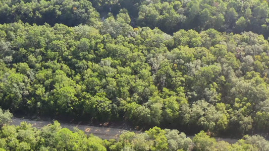 Affordable Florida Land — Own 0.22 Acres with 12-Month Exchange Promise. Putnam County, FL